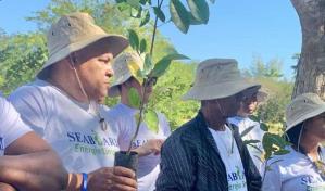 Seaboard siembra 1,500 árboles en Humedales del Ozama