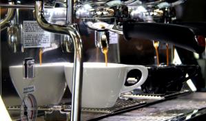 Del terruño a la taza: La creciente variedad de café que enriquece el mercado dominicano
