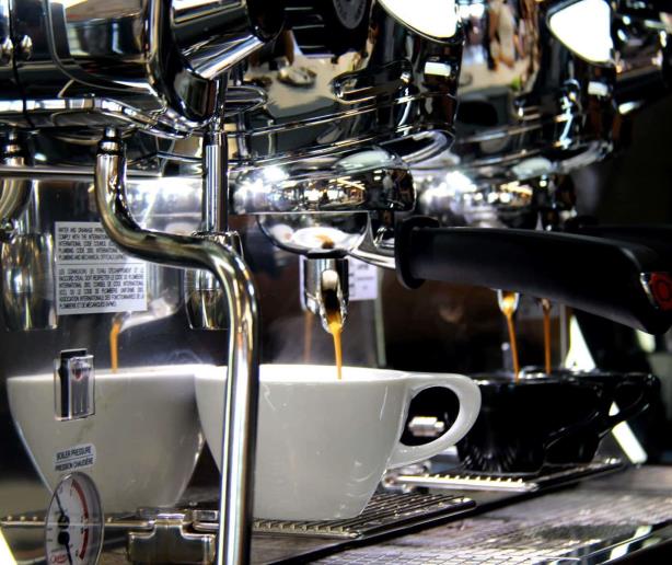 Del terruño a la taza: La creciente variedad de café que enriquece el mercado dominicano