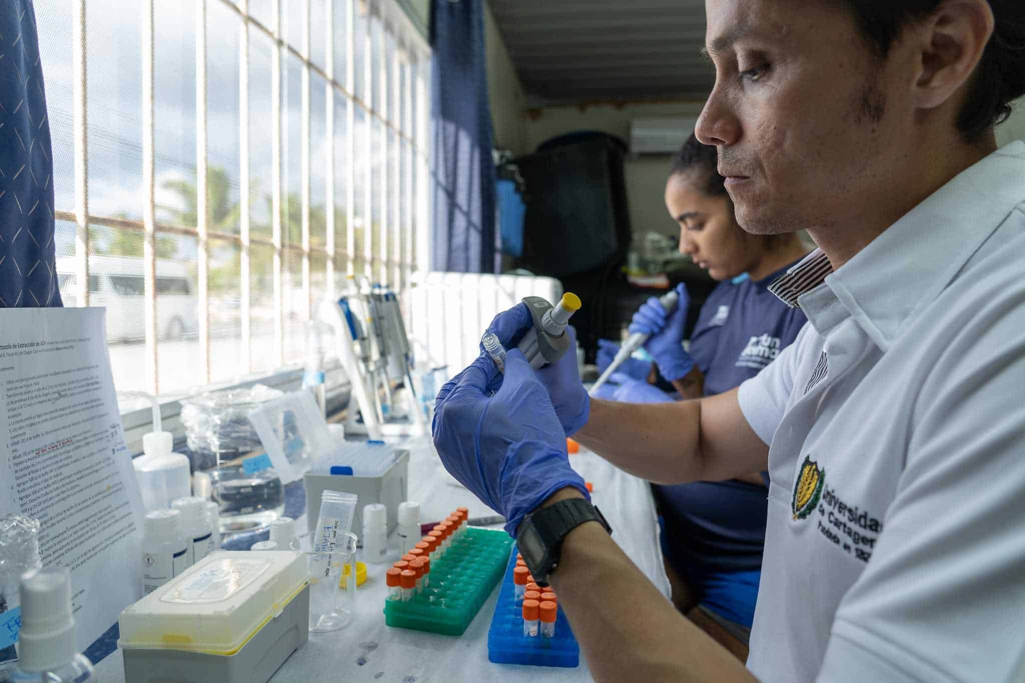 El doctor Parmenio Suescun durante proceso de extracción de ADN. 