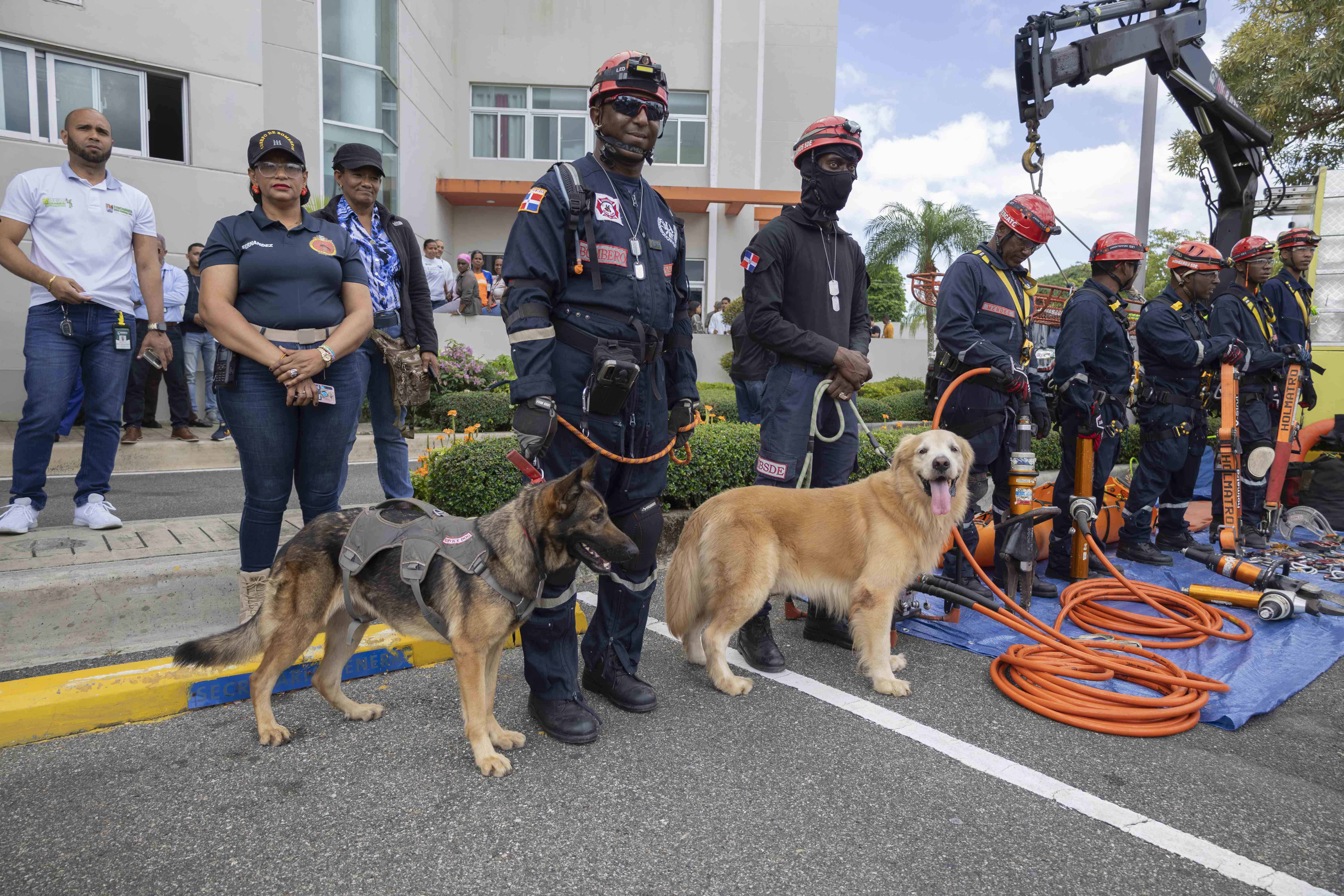 Unidades caninas que serán utilziadas en el operativo