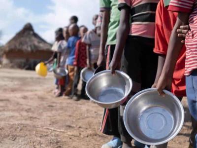 Estudio de la ONU: Desperdicio Alimentario Global