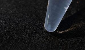 Realizan con éxito primera extracción de ADN de corales en República Dominicana