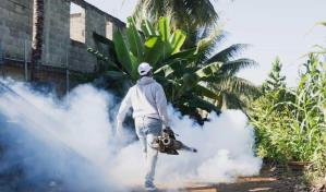 En lo que va de año, el país registra 6,776 casos sospechosos de dengue
