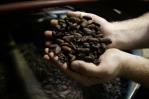 El cacao, más caro que el cobre por primera vez en la historia
