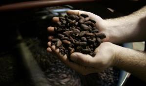 El cacao, más caro que el cobre por primera vez en la historia