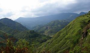 Autoridades venezolanas detienen a siete personas por provocar incendio en parque nacional