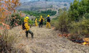 Temporada de incendios forestales concluye con más siniestros causados por descargas eléctricas