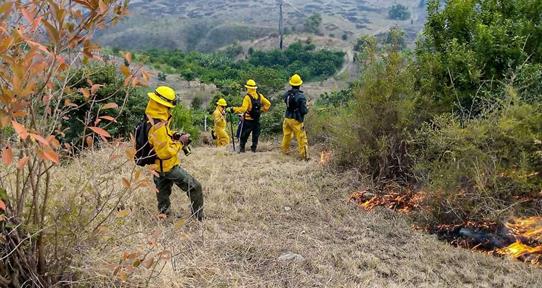 Temporada de incendios forestales concluye con más siniestros causados por descargas eléctricas