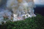 Los incendios en la Amazonía brasileña aumentaron un 61 % en marzo