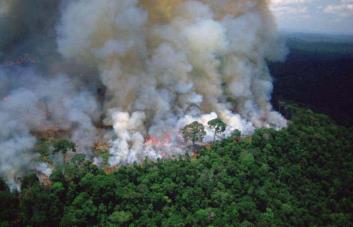 Los incendios en la Amazonía brasileña aumentaron un 61 % en marzo