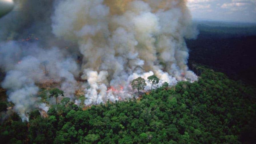 Los incendios en la Amazonía brasileña aumentaron un 61 % en marzo