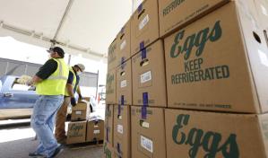 El mayor productor de huevos de EEUU detiene producción en planta de Texas tras detectar gripe aviar