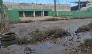 Francisco Camacho garantiza que las Estrellas jugarán en el Tetelo Vargas