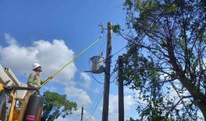 Edesur desmantela 698 conexiones ilegales y recupera 35 transformadores