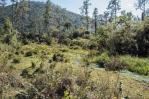 Cierran temporalmente parques José del Carmen Ramírez y Armando Bermúdez por incendio forestal Cierran temporalmente parques José del Carmen Ramírez y Armando Bermúdez por incendio forestal