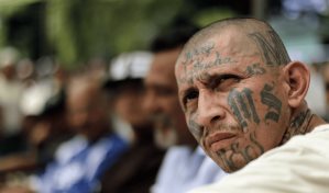 Miembro de MS-13 se declara culpable y enfrenta cadena perpetua por cuatro asesinatos en NY