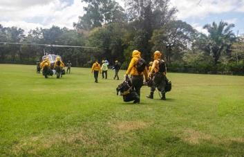 El conuquismo vuelve a ser causa de incendio en el Parque Nacional  José del Carmen Ramírez