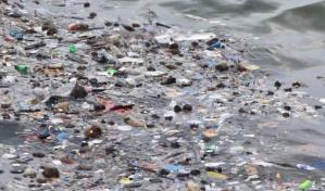 Hasta 11 millones de toneladas m&eacute;tricas de pl&aacute;stico cubren el fondo marino, seg&uacute;n estudio