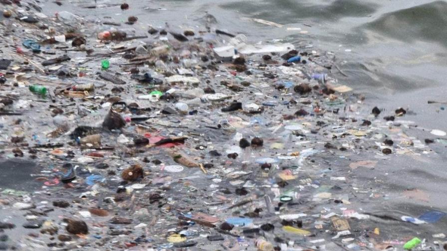 Hasta 11 millones de toneladas métricas de plástico cubren el fondo marino, según estudio