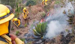 Estiman unas 2,000 hectáreas resultaron afectadas por incendio en el parque José del Carmen Ramírez