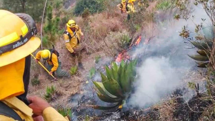 Estiman unas 2,000 hectáreas resultaron afectadas por incendio en el parque José del Carmen Ramírez