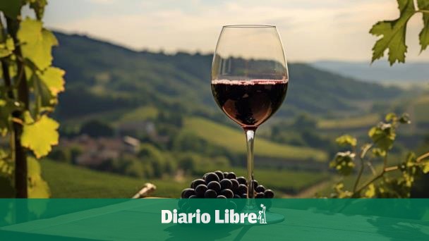 <div>Producción mundial de Vino cayó 10% en 2023</div>