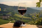 El boom de la industria del vino: qué bodegas tienen más posibilidades de triunfar El boom de la industria del vino: qué bodegas tienen más posibilidades de triunfar