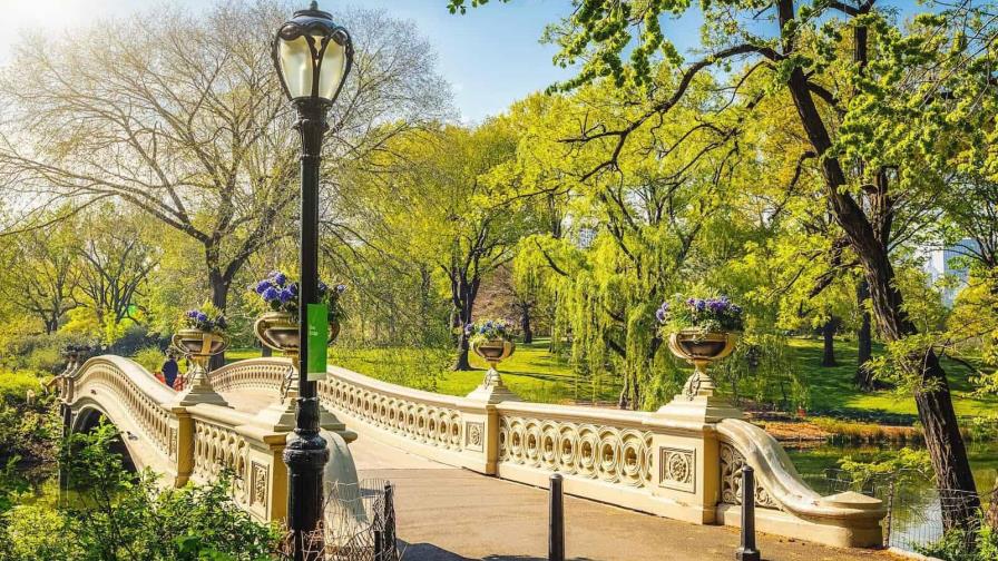 Cinco actividades para disfrutar la primavera en la ciudad de Nueva York