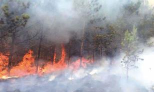 ¡Fuego en la montaña!