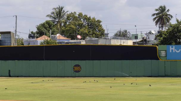 Habrá pelota en el Tetelo Vargas para la próxima temporada