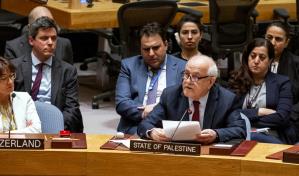 Consejo de Seguridad revive esperanza de Autoridad Palestina de entrar a ONU; EEUU dice que aún no