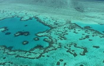 La Gran Barrera de Coral: un calentamiento continuo amenazaría también sus zonas profundas