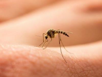 Brasil supera los tres millones de casos de dengue este 2024