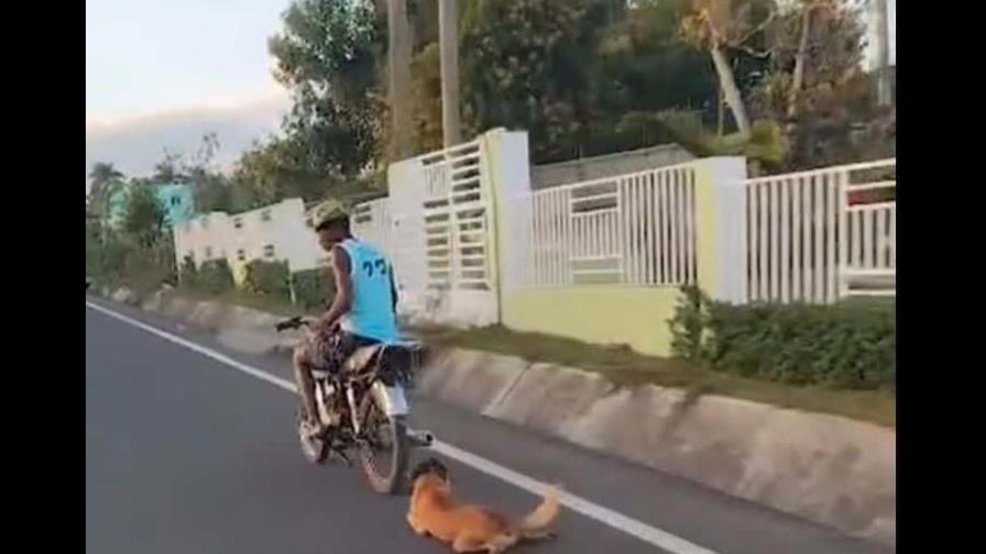 Apresan hombre que arrastró un perro en una motocicleta en Hato Mayor