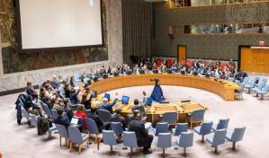 Comunidad LGTBQ de Colombia pide apoyo al Consejo de Seguridad de la ONU