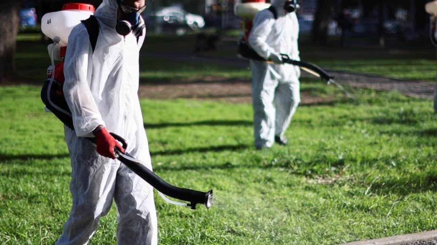 Argentina: El dengue hace estragos y el Estado, ausente