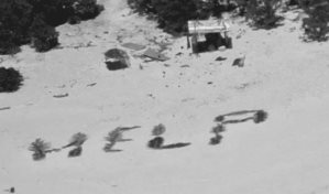 Rescatan a n&aacute;ufragos que escribieron AYUDA con palmas en isla remota del Pac&iacute;fico