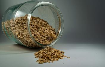 Avena, el cereal de moda: ¿es mejor que otros cereales?