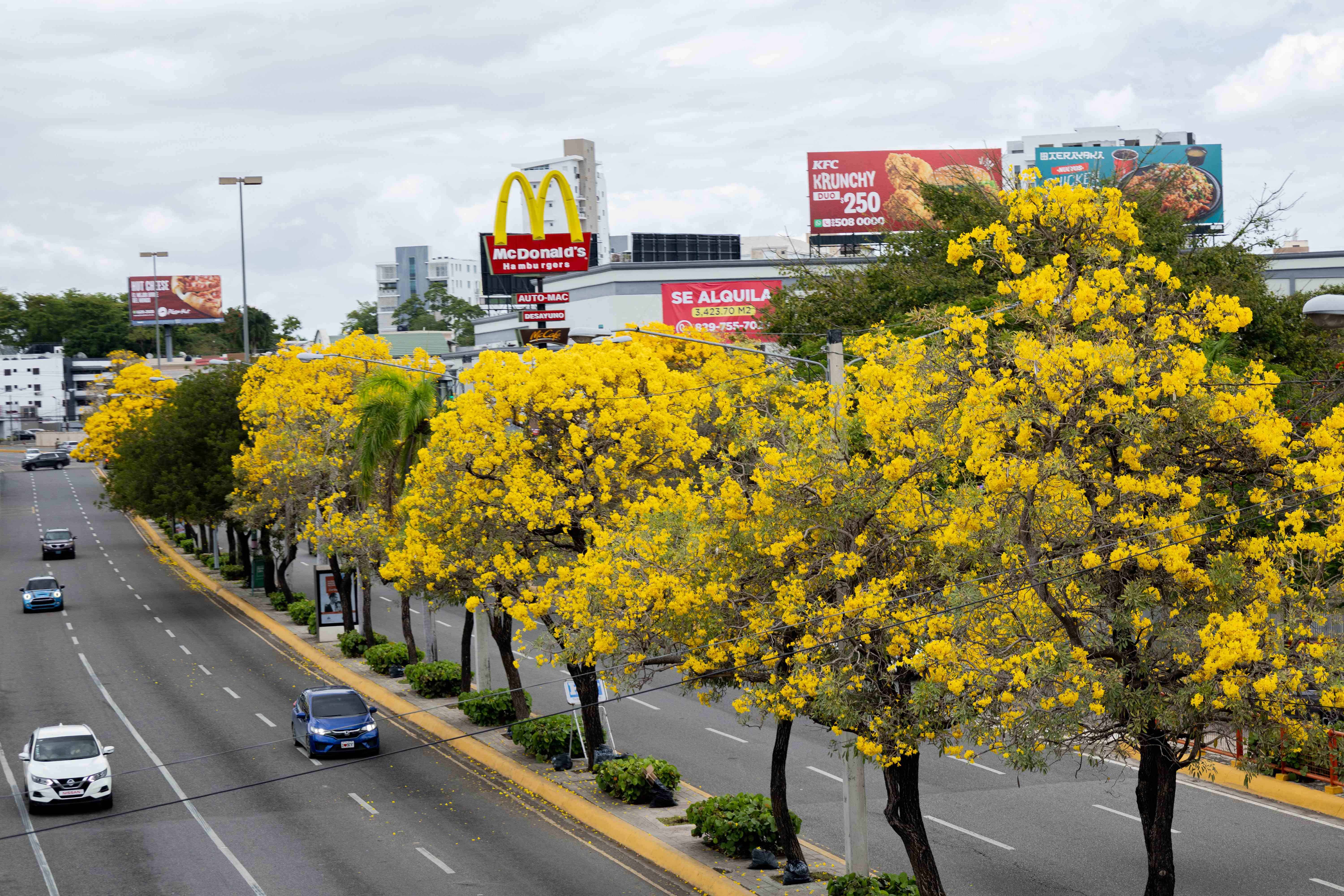 Avenida Los Próceres.