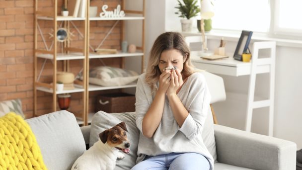 ¿Por qué aumentan tanto las alergias? Una clave puede estar en la microbiota