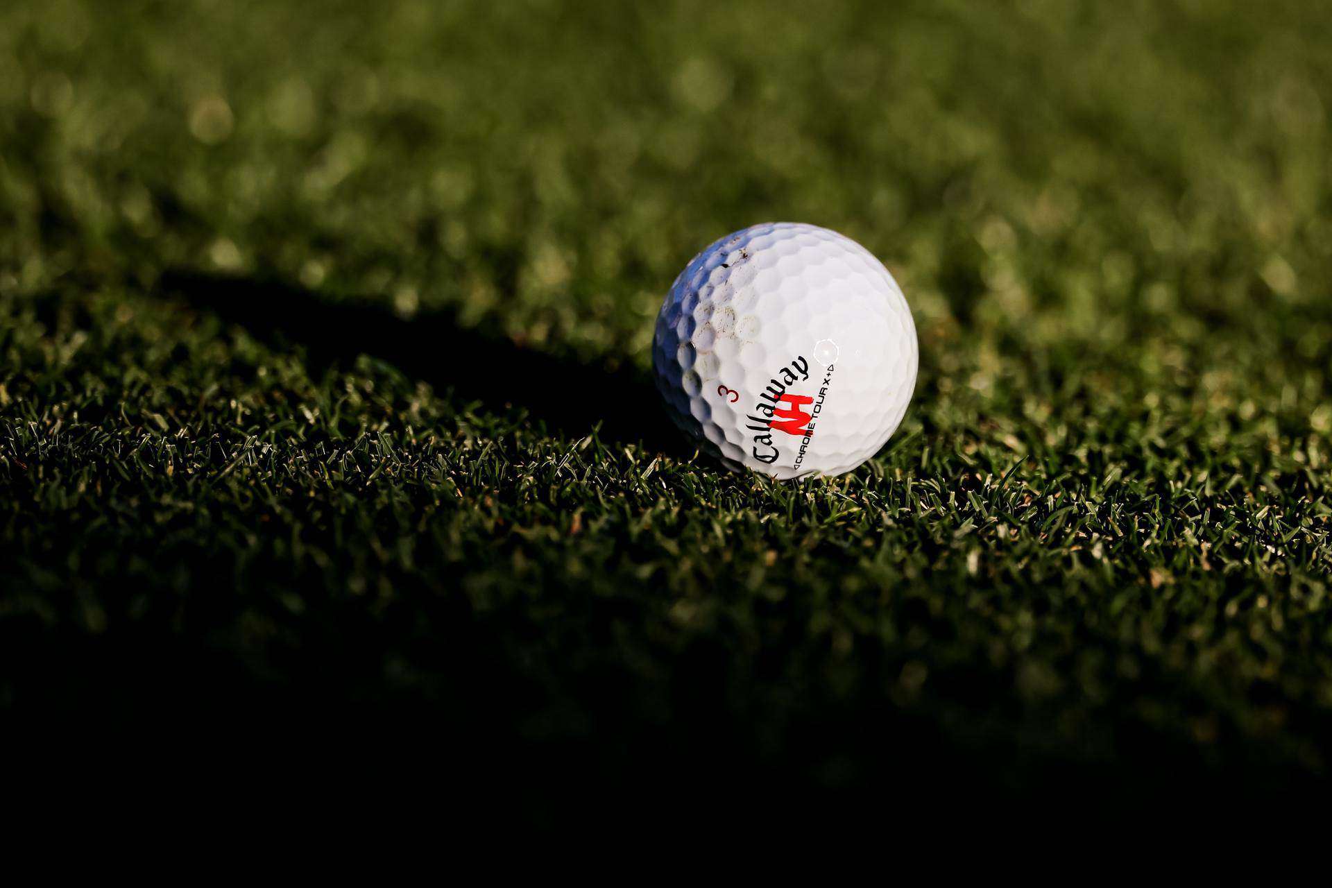 [object HTMLTextAreaElement]