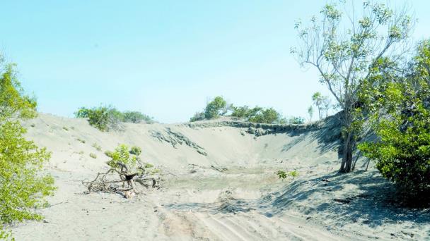 Gobierno reforzará seguridad en Dunas de Baní luego de tala de árboles en el área