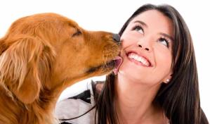 Perros y gatos podrían transmitir a los dueños bacterias resistentes