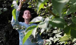 Bosques urbanos, una solución verde para oxigenar las grandes ciudades