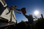LULAC tilda de inhumano negar a trabajadores en Florida pausas contra el calor LULAC tilda de inhumano negar a trabajadores en Florida pausas contra el calor