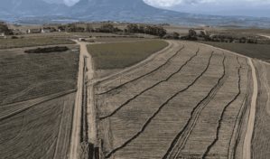 En Sud&aacute;frica reorganizan vi&ntilde;edos para salvarlos del cambio clim&aacute;tico