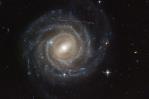 Aficionados a la ciencia de todo el mundo descubren más de 1,000 asteroides no catalogados Aficionados a la ciencia de todo el mundo descubren más de 1,000 asteroides no catalogados