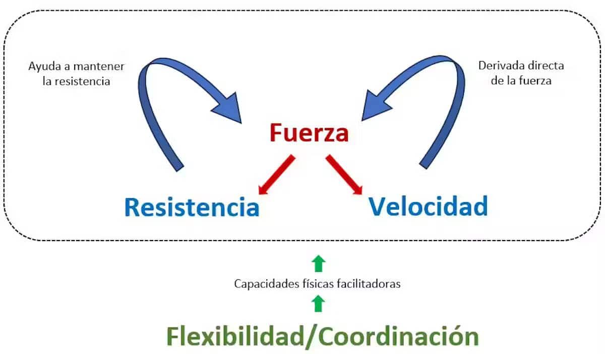 Infografía