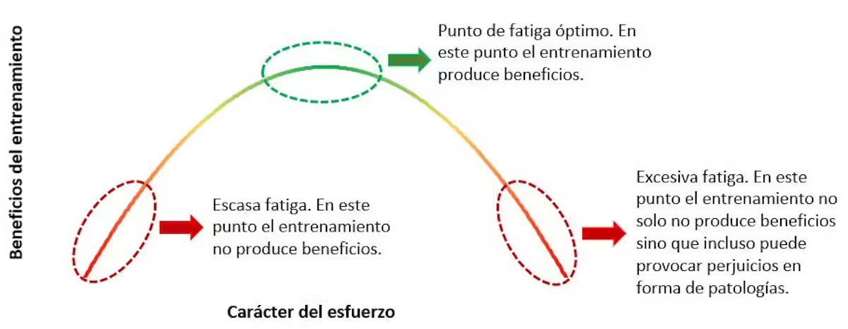 Infografía
